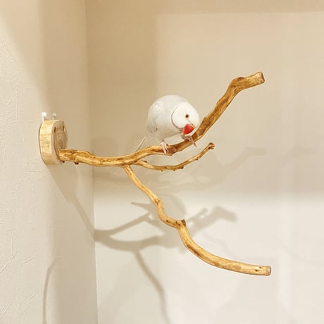 ピノキオの鼻 ⑥