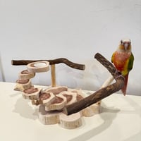 ツタと貝塚伊吹の螺旋階段スタンドパーチ