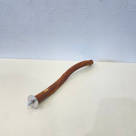 自然木（ツタ）パーチ 直径約1.7cm/長さ25cm