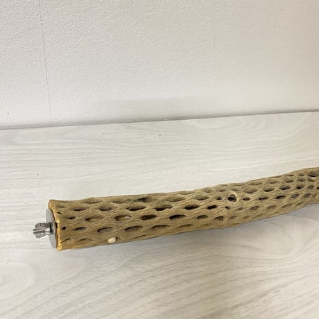 ケージサイズカクタスパーチ⑥小サイズ直径約4cm HOEI465サイズ