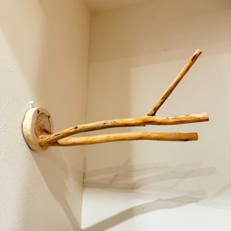 桧のピノキオの鼻 ①