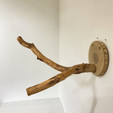 ピノキオの鼻 ⑤ 中型さん用