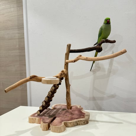 自然木（ツタ・貝塚伊吹）とハシゴのバードアスレチック【インコのおもちゃ・自然木のとまり木】