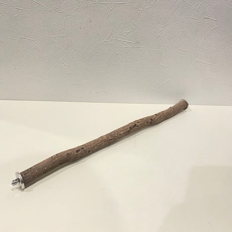 殿様パーチ（自然木ツタ） HOEI465サイズ ④