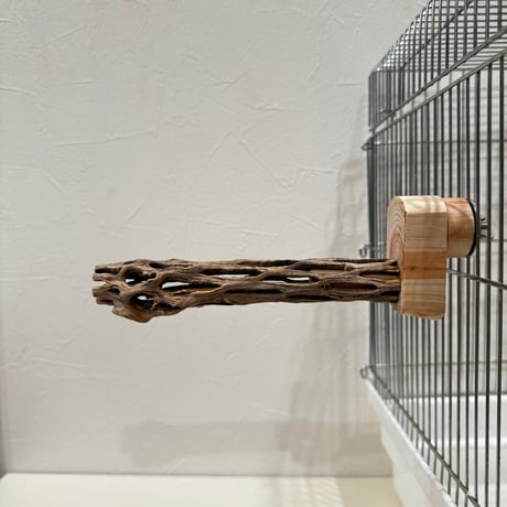 カクタスパーチ極小サイズ⑧ 直径2.1~2.5cm/長さ15cm【自然木 止まり木 バンブルフット 趾瘤症 】