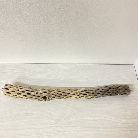 ケージサイズカクタスパーチ⑥ 小サイズ直径3-4cm HOEI465サイズ