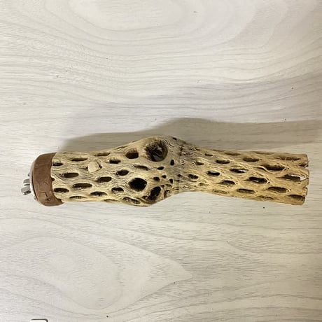 カクタスパーチ 極小サイズ⑬ 直径（約2-3cm）長さ/15cm