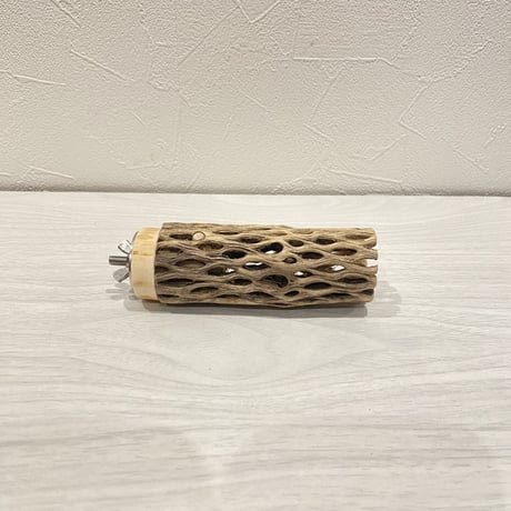 カクタスパーチ【3】 小直径3.5cm/10cm