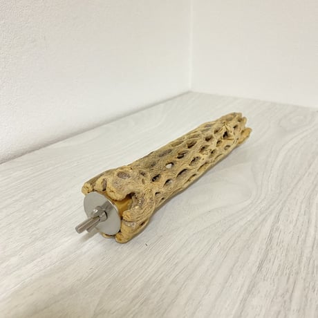 ハートフルキャリーサイズ カクタスパーチ③ 小サイズ直径3-4cm