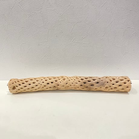 ケージサイズカクタスパーチ④ 直径約5.5cm HOEI465サイズ