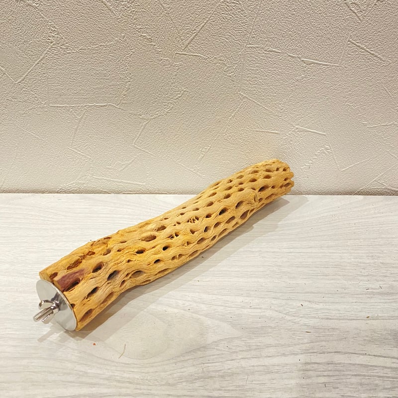 カクタスパーチ【J】直径4~5cm/長さ25cm | 自然木の鳥用品 鳥豆