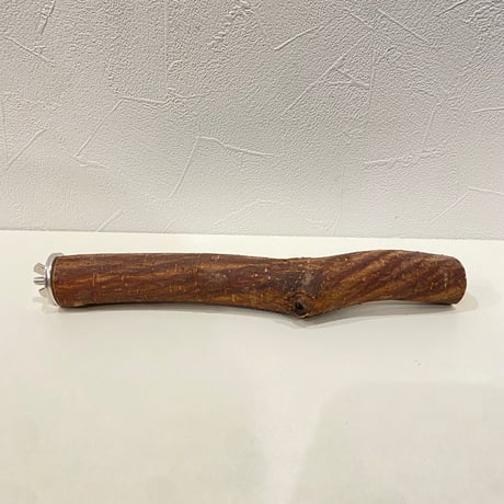 自然木（ツタ）パーチ 直径約2.7cm/長さ22cm