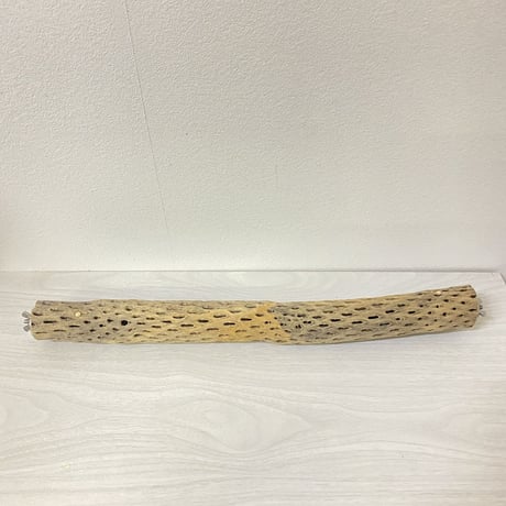 ケージサイズカクタスパーチ②  小直径3-4cm HOEI465サイズ
