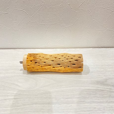 カクタスパーチ①中サイズ長さ15cm