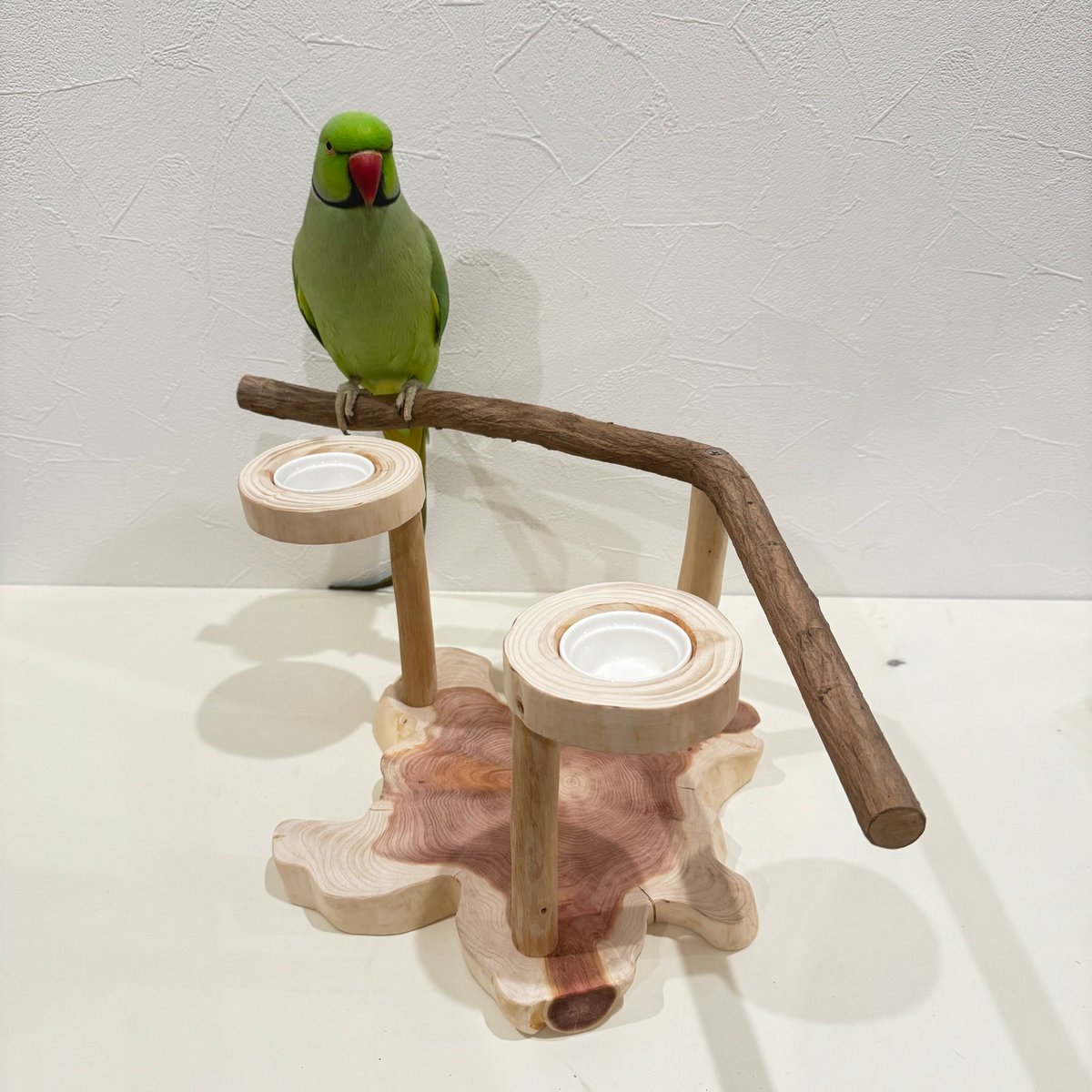 ツタのおやつ入れ付きスタンドパーチ 【インコ 自然木 止まり木