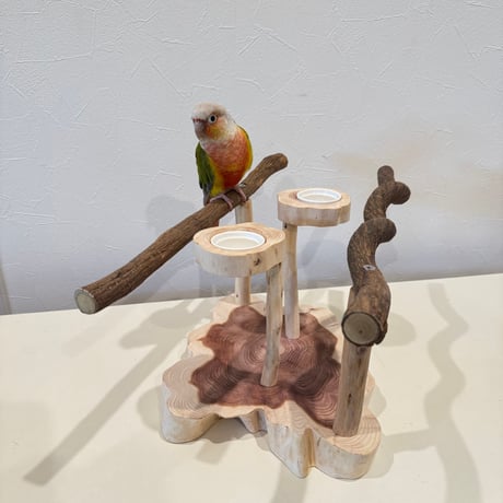 ツタと貝塚伊吹のおやつれつきスタンドパーチ【インコのおもちゃ・ブランコ・自然木のとまり木】バードアスレチック