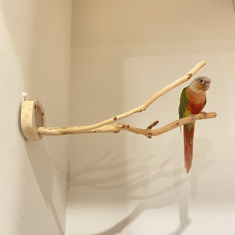 ピノキオの鼻 ①