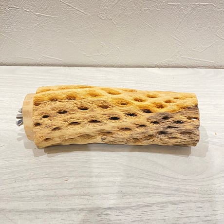 カクタスパーチ【20】直径4~5cm/長さ15cm