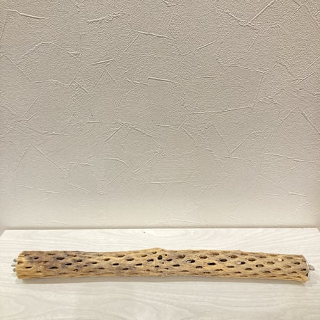ケージサイズカクタスパーチ⑤  小サイズ直径3-4cm HOEI465サイズ