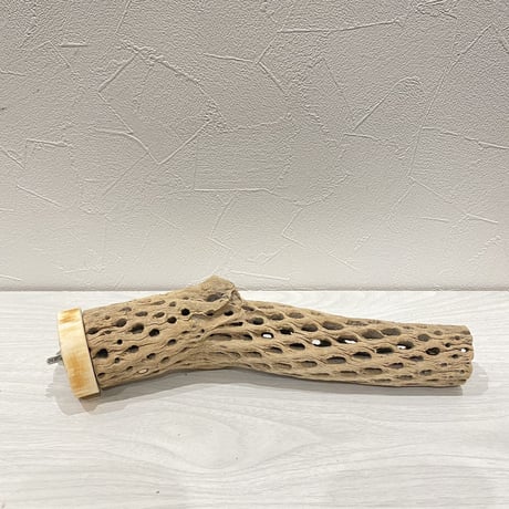 カクタスパーチ⑨ 中直径約5.5cm/25cm