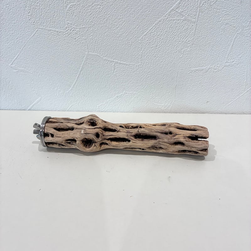 カクタスパーチ極小サイズ① 直径2.5~3cm/長さ15cm【自然木 止まり木