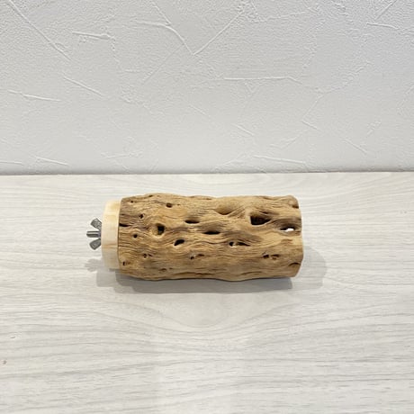 カクタスパーチ⑦ 中直径5.5cm 長さ11.5cm