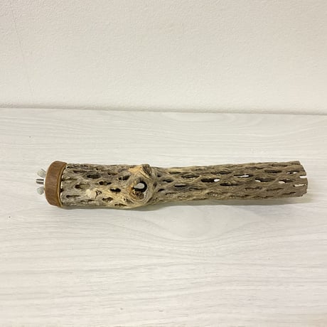 カクタスパーチ⑭ 極小サイズ 直径（約2-3cm）長さ/20cm