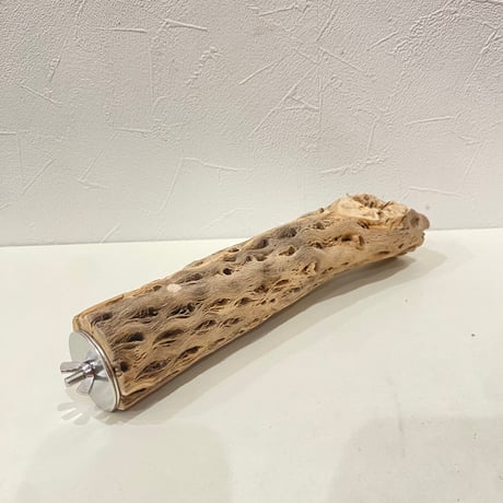 カクタスパーチ⑰ 直径約5cm/長さ25cm