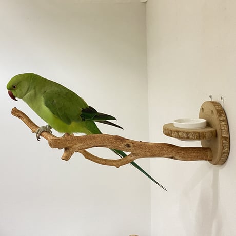 ピノキオの鼻①