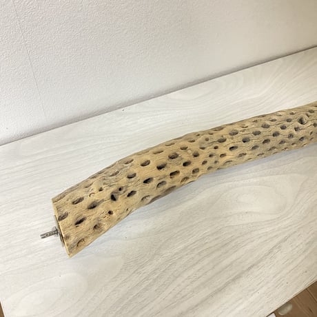 【yae23yae様】カクタスパーチ 中サイズ 直径（約5.5cm）長さ/47.5cm