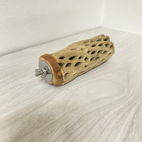カクタスパーチ⑨ 小サイズ 直径（約3-4cm）長さ/10cm