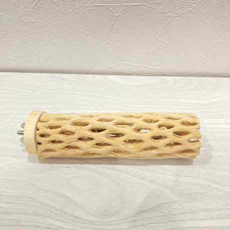 カクタスパーチ【3】中  直径約5cm 長さ15cm