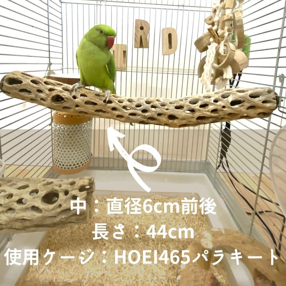 6062def41e746b7a279b5d23
