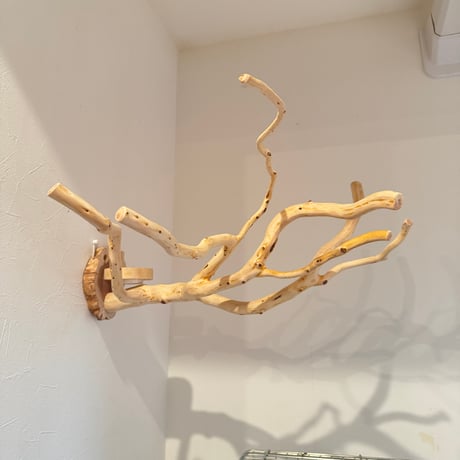 【Ｍ様専用】おやつ入れつきピノキオの鼻 【インコ 止まり木 自然木】
