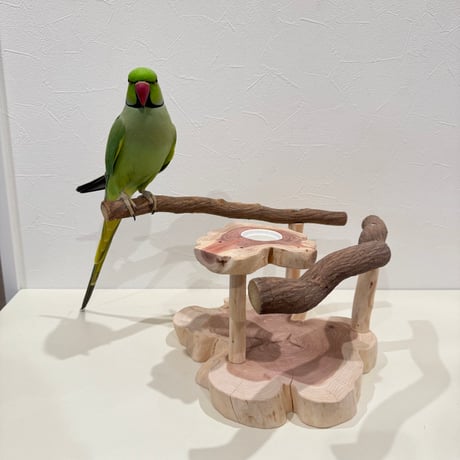 ツタのおやつ入れ付きスタンドパーチ【インコ 天然木 自然木 パーチ 止まり木】