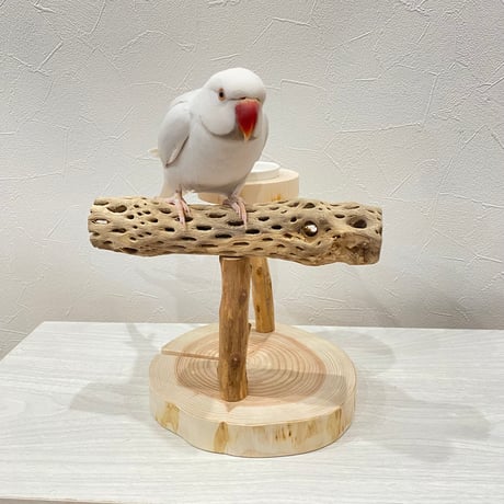 おやつ入れ付きカクタススタンドパーチ①