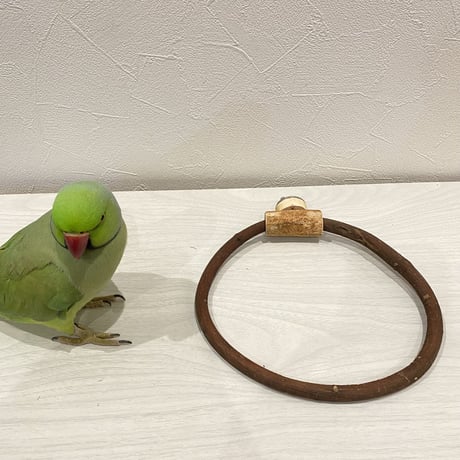 自然木（ツタ）のドーナツパーチ④ ビックサイズ  パーチ直径1cm／円直径18.5×18cm