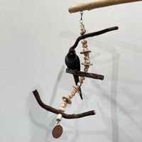 天然ウッドビーズとカクタスのおでんくん ステンレスすず付き②【インコ おもちゃ 自然木】