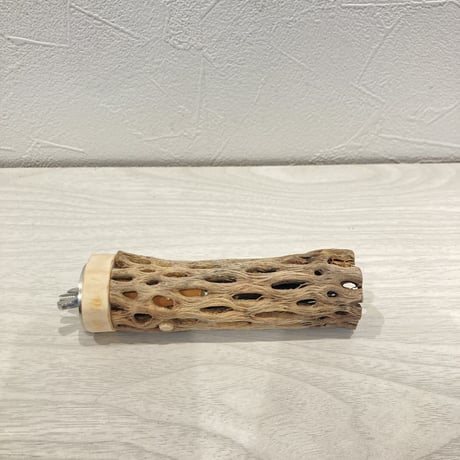 カクタスパーチ極小③ 直径約2~3cm 長さ10cm