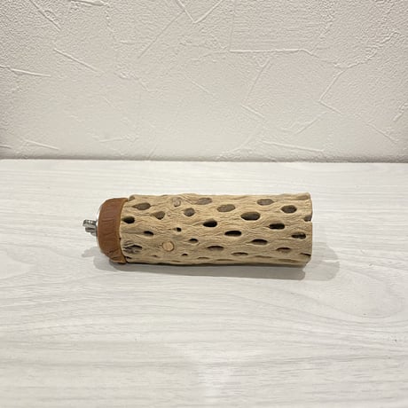 カクタスパーチ⑦  小直径約4cm前後/10cm