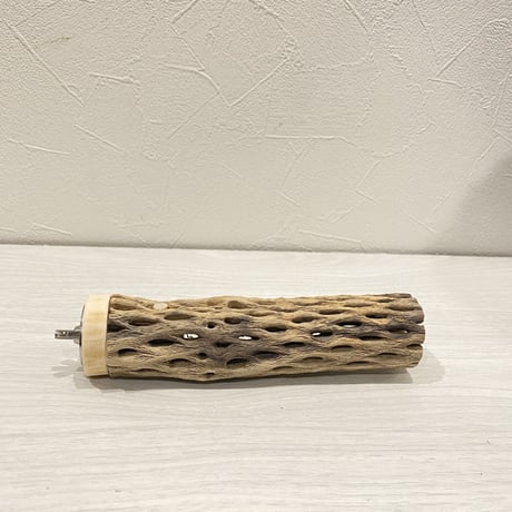 カクタスパーチ【21】 小直径3.5cm/15cm