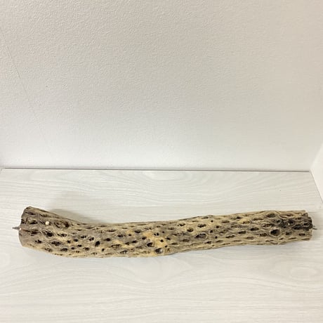 ケージサイズカクタスパーチ⑦ 中サイズ直径約5.5cm HOEI465サイズ