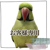 【ancho0216様専用】カクタスとハシゴのぐるぐるアスレチック 直径約4cm/長さ35cm(内寸30cm)