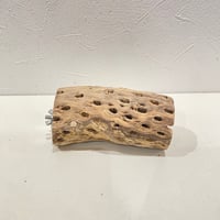カクタスパーチ(L) 直径約5.5cm/長さ12cm