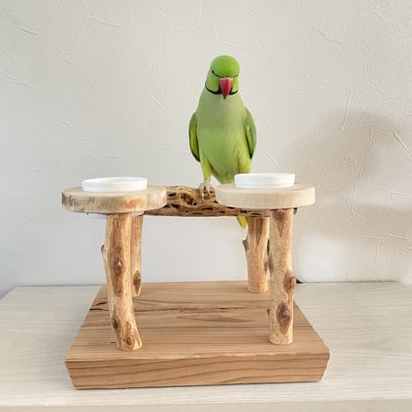 【Nana様専用】ケージサイズカクタスパーチ