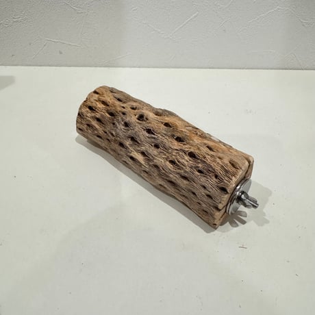 【avenir Lucas専用】カクタスパーチ　おやつ入れテーブルパーチ