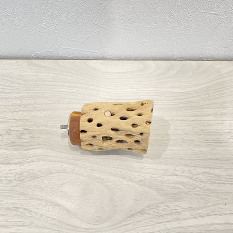 カクタスパーチ④ 小サイズ直径4cm前後/6.5cm