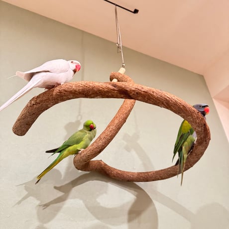 超でかいとぐろちゃんブランコ　【インコのおもちゃ 自然木】