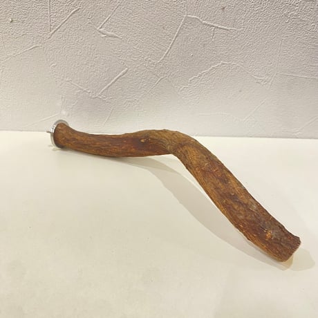 自然木（ツタ）パーチ 直径約2.2cm/長さ25cm