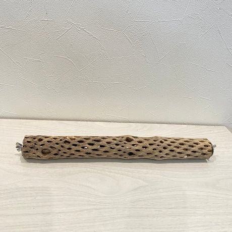 ケージサイズカクタスパーチ① HOEI35 小（直径3-4cm）